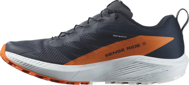 Кецове и обувки Salomon SENSE RIDE 5 GTX Черно | l47459400, 5