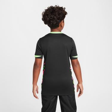 Фланелка Nike Australia Stadium 2025/26 Dri-FIT Replica Jersey Черно | FQ8859-321, 2