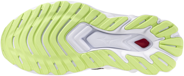 Кецове и обувки Mizuno WAVE SKYRISE 5 ROXY Сиво | j1gc245802, 5