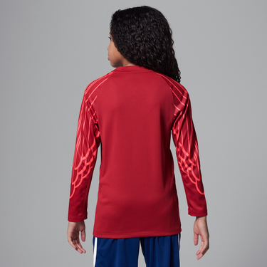 Фланелка Jordan Paris Saint-Germain 2025 Fourth Stadium Goalkeeper Dri-FIT Long Sleeve Replika Jersey Червено | HJ6859-660, 3