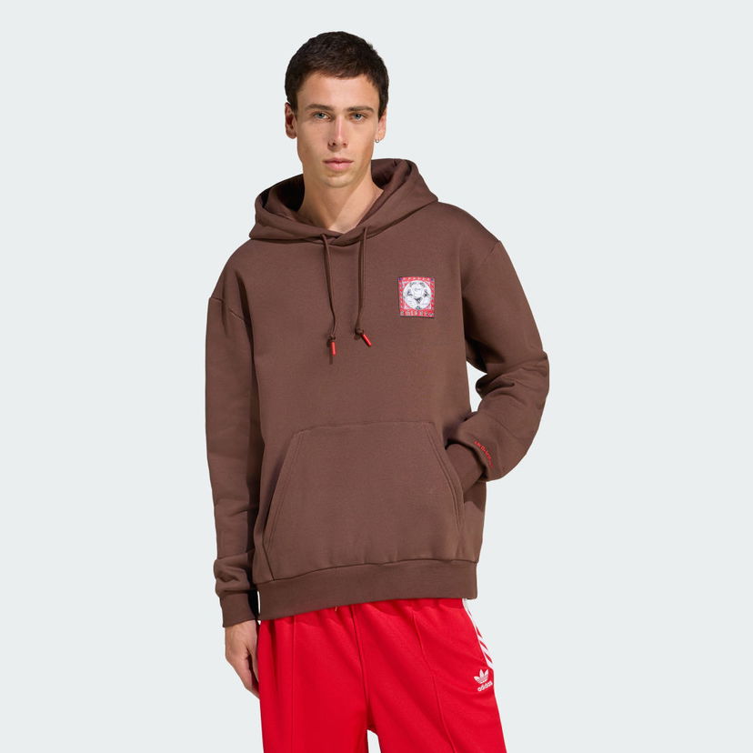 Суитчър adidas Performance Graphic Hoodie Кафяво | JX3095