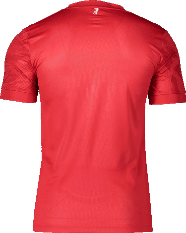 Тениска Nike Dri-FIT SC Freiburg Prematch T-Shirt 2025/26 Червено | 6scffz9332-657, 1