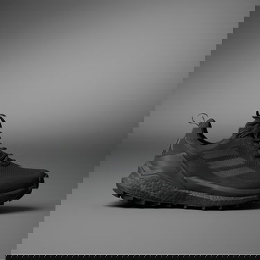 Кецове и обувки adidas Performance Terrex Free Hiker 2.0 Low GTX Черно | IE7657, 0