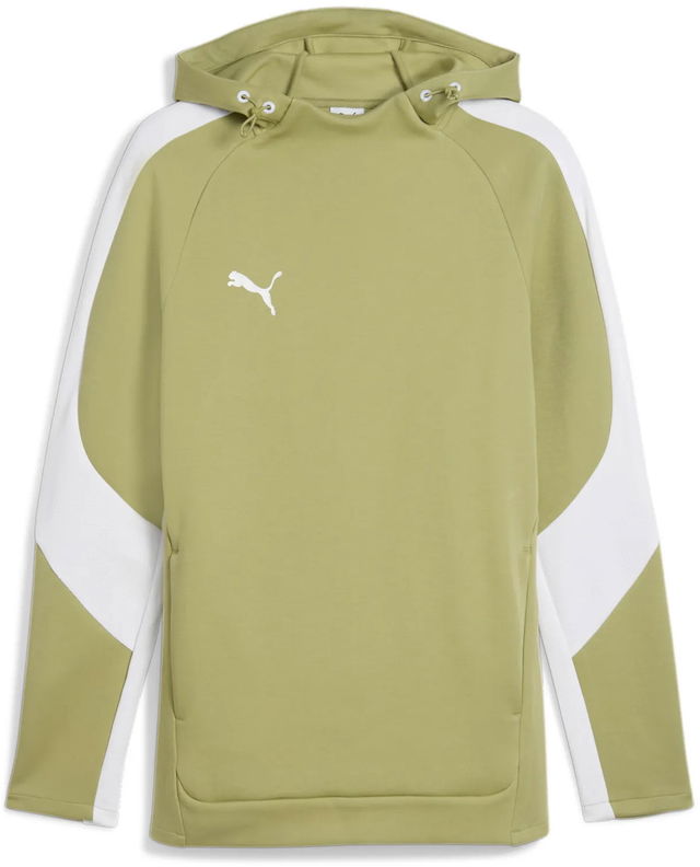 Puma teamEvostripe Hoodie