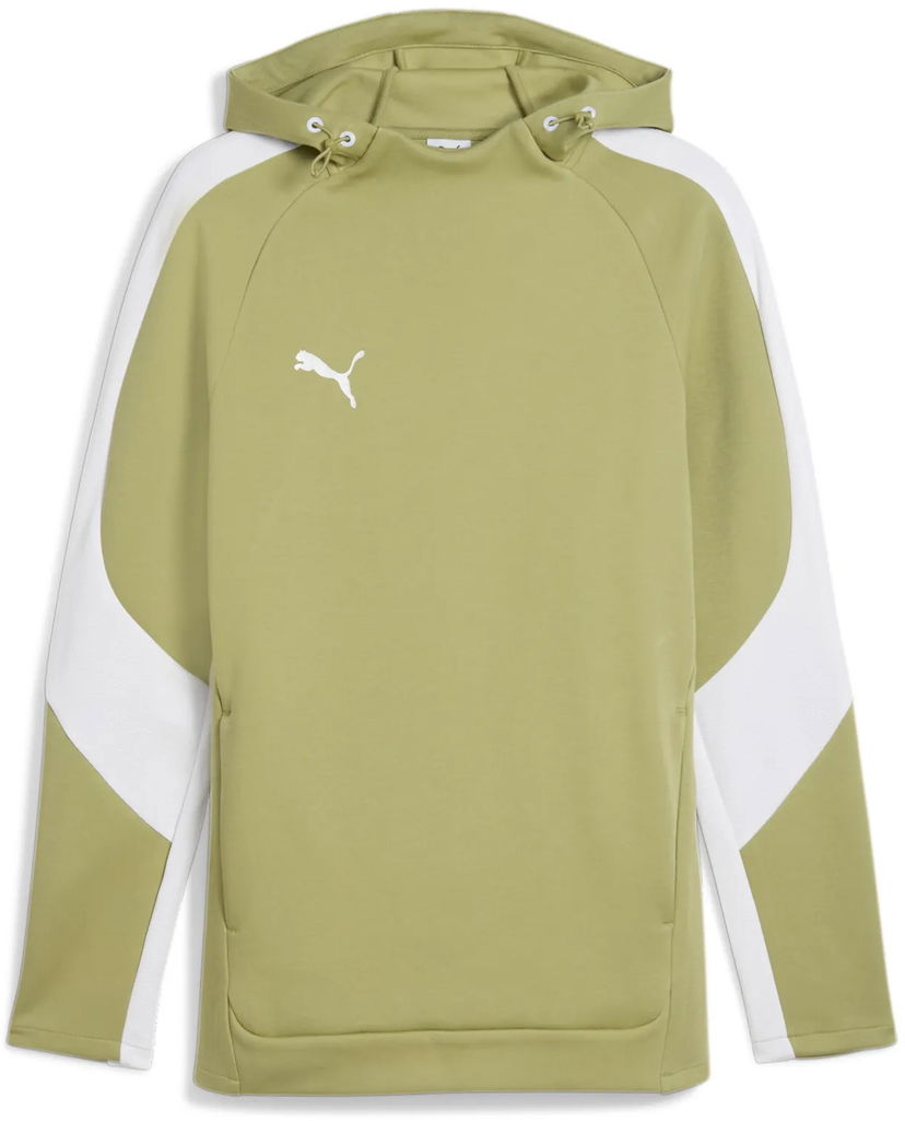 Суитчър Puma Puma teamEvostripe Hoodie Зелено | 659954-40