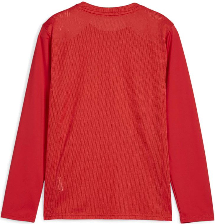 Фланелка Puma teamGOAL LS Jersey Jr Long Sleeve T-Shirt Червено | 705751-01, 1
