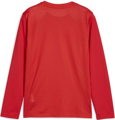 Фланелка Puma teamGOAL LS Jersey Jr Long Sleeve T-Shirt Червено | 705751-01, 1