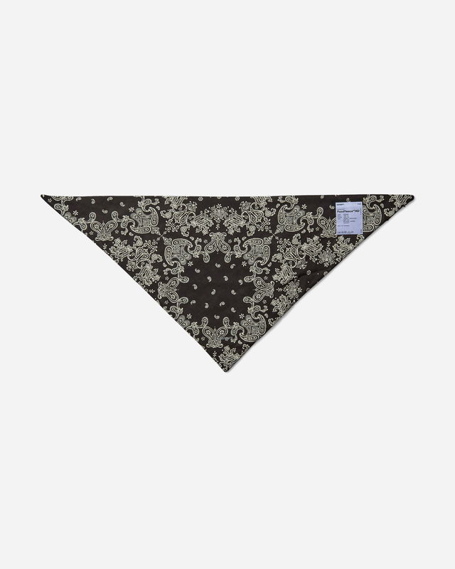 Paisley Print Bandana