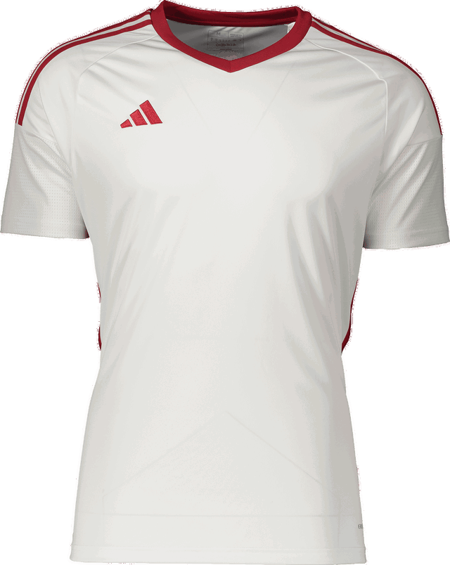 Short-Sleeve Performance V-Neck Jersey