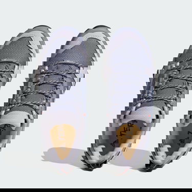 Кецове и обувки adidas Performance Terrex AX3 Hiking Лилаво | HP8724, 2