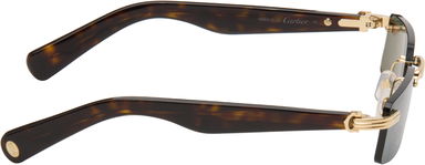 Rimless Rectangular Sunglasses with Banded Hardware, 1