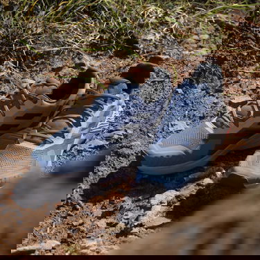 Кецове и обувки adidas Performance adidas TERREX Terrex Soulstride Trail Running Сиво | IG8024, 5