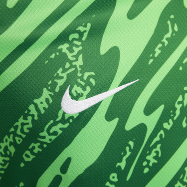 Фланелка Nike Dri-FIT Netherlands Stadium 2024/25 Зелено | FJ4290-329, 1