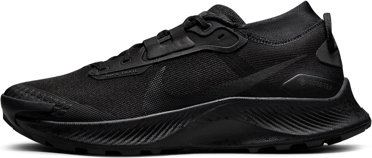 Кецове и обувки Nike Pegasus Trail 3 GTX Черно | dc8793-001, 0
