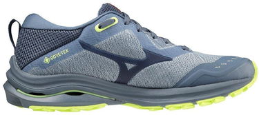 Кецове и обувки Mizuno Wave Rider GTX Сиво | J1GD217947, 2