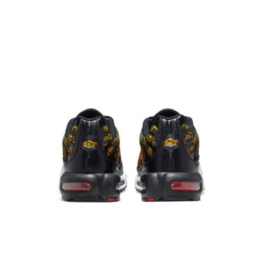 Кецове и обувки Nike Air Max Plus Многоцветен | DX2665-001, 1
