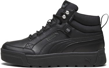 Кецове и обувки Puma Tarrenz SB III Puretex Черно | 393930-01, 0