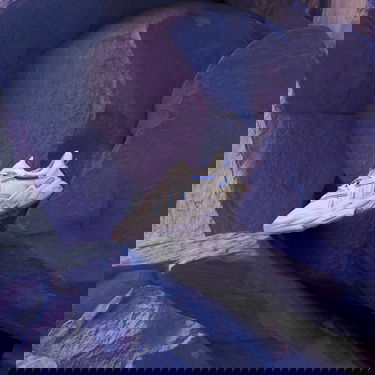 Кецове и обувки adidas Originals OZWEEGO Бяло | GX1023, 6