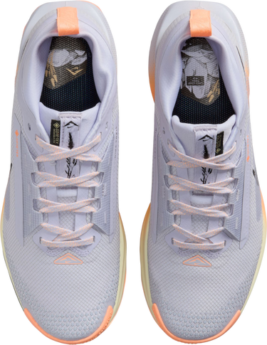 Кецове и обувки Nike Pegasus Trail 5 GORE-TEX Многоцветен | fq0912-011, 2