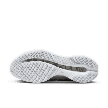 Кецове и обувки Nike Air Zoom Pegasus Premium White Metallic Silver Бяло | HQ2592-102, 2