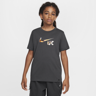 Тениска Nike Liverpool FC Swoosh T-Shirt Сиво | HJ4022-070, 1