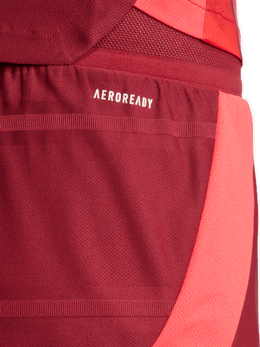 Къси панталони adidas Performance Germany Authentic Team Shorts Червено | JF2609, 3