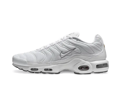 Кецове и обувки Nike Air Max Plus Бяло | 604133-139