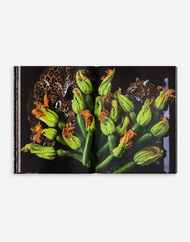 Книга и списание Dolce & Gabbana Dolce & Gabbana Sicily Cookbook Многоцветен | VL1151VLTW89V000, 2