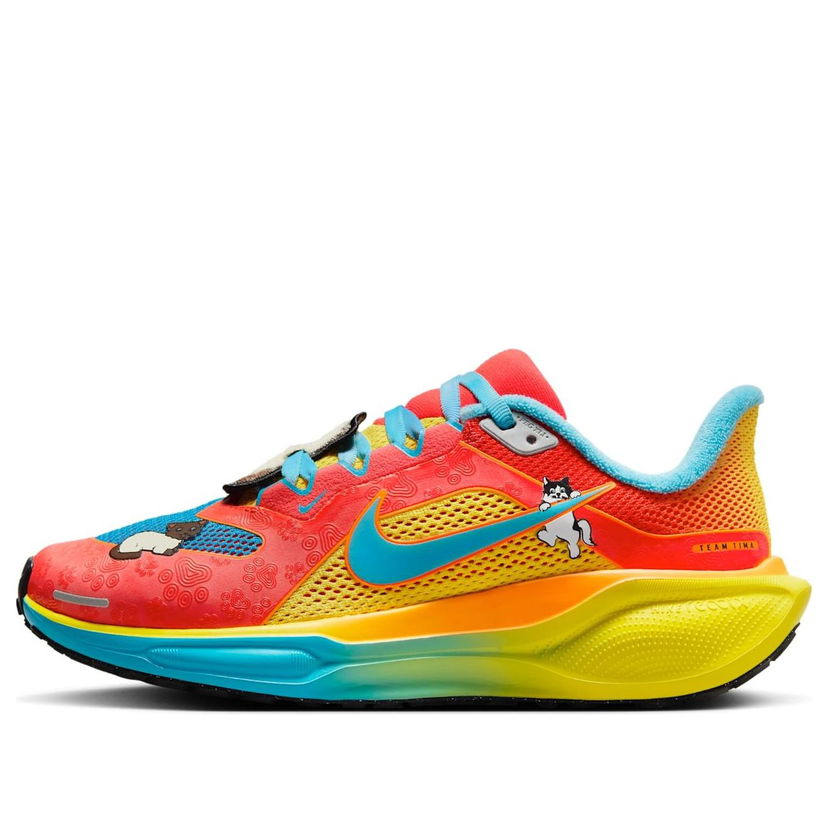 Кецове и обувки Nike Air Zoom Pegasus 41 Doernbecher Многоцветен | IB6096-920