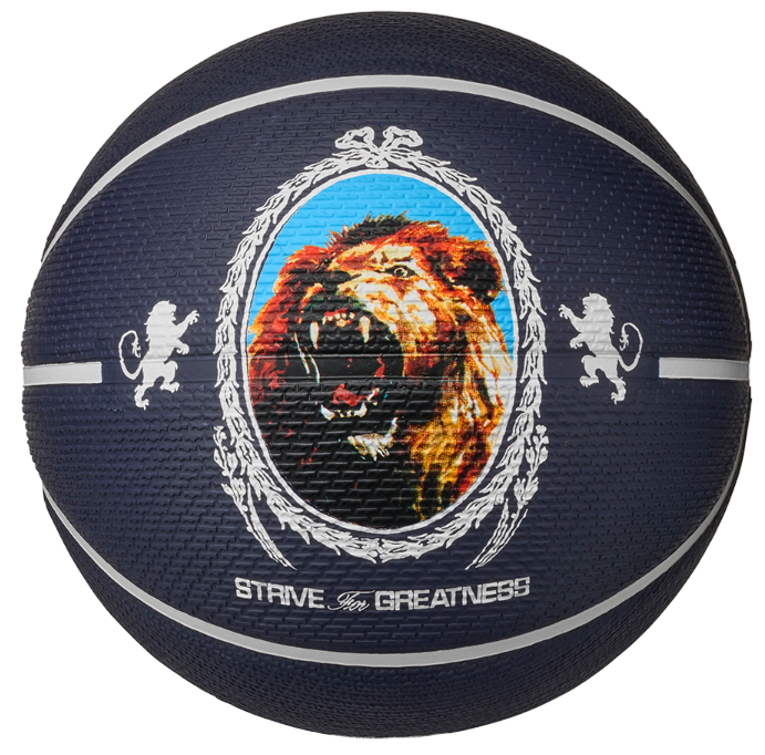 Спортна екипировка Nike Playground 8P L James Strive for Greatness Basketball Тъмно синьо | 901738-10155, 0