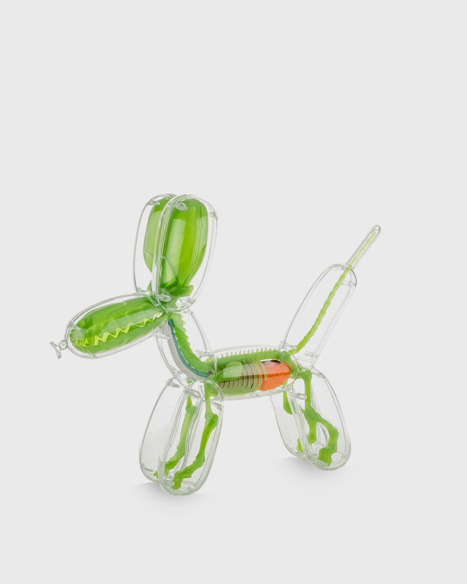 Аксесоари Mighty Jaxx Balloon Dog Anatomy By Jason Freeny Toys Зелено | 641489936024, 0