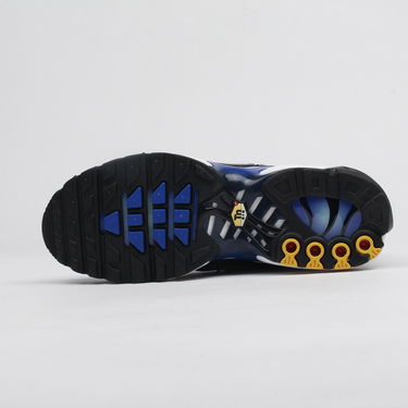 Кецове и обувки Nike Air Max Plus OG Синьо | BQ4629-003, 5