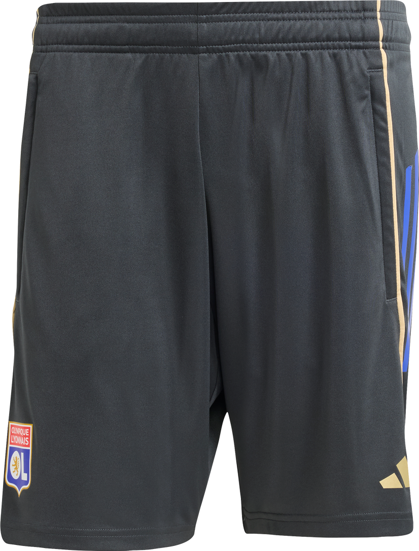 Къси панталони adidas Originals Olympique Lyonnais Training Shorts 2025/26 Сиво | jl9410