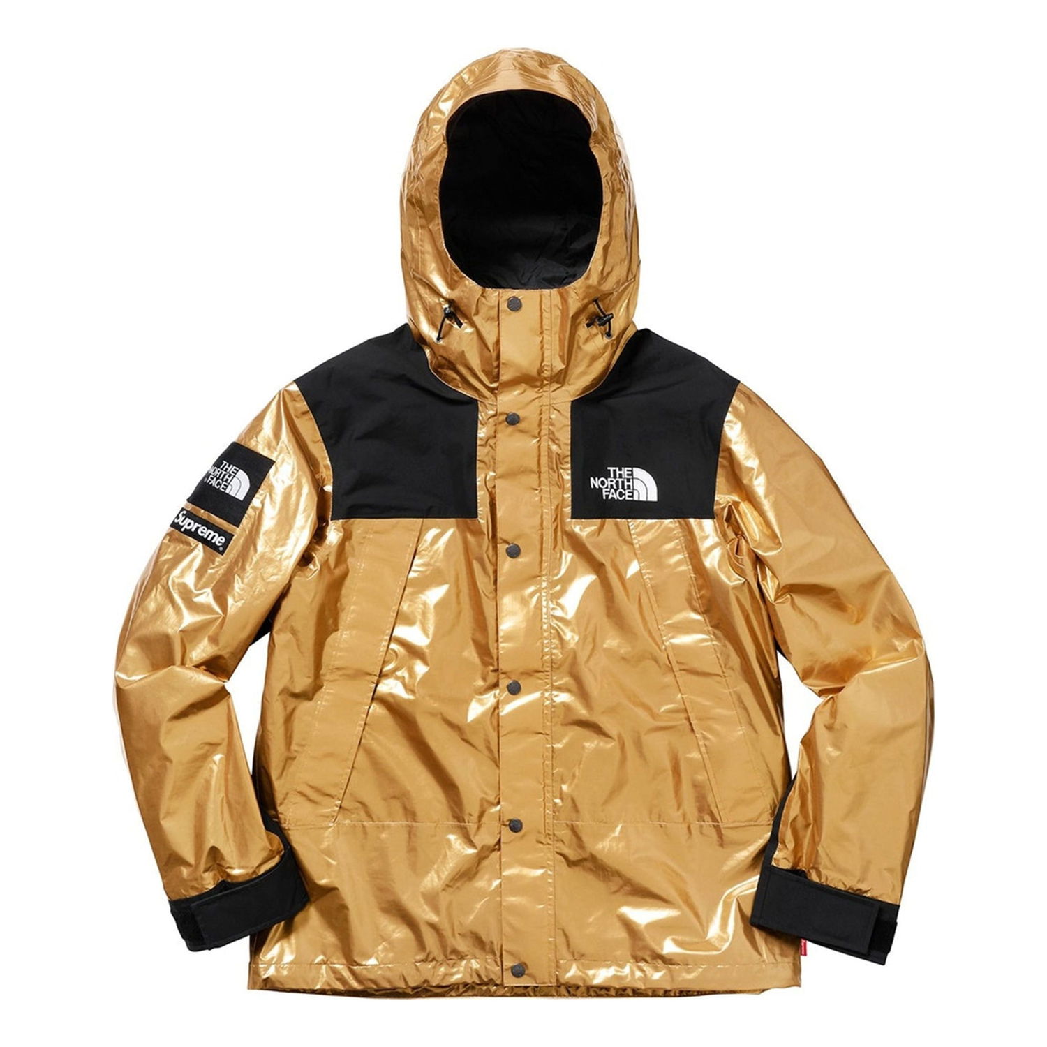 Парка Supreme The North Face Metallic Mountain Parka Металик | SUP-SS18-604, 0