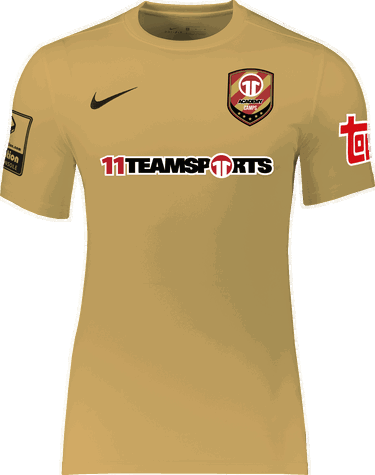 Фланелка Nike Nike Academy Park VII Jersey Жълто | ac-25-bv6741-729, 0