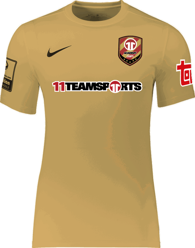 Nike Academy Park VII Jersey