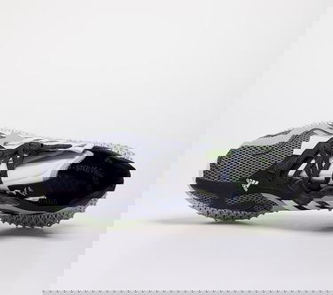 Кецове и обувки adidas Originals Runner EVO 4D Сиво | EG6510, 2