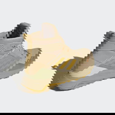 Кецове и обувки adidas Performance Terrex Trailmaker Mid GORE-TEX Hiking Кафяво | GZ0338, 1