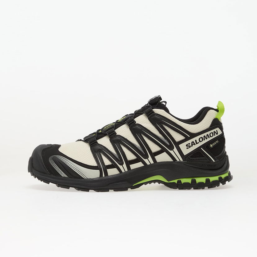 Кецове и обувки Salomon Xa Pro 3D GTX Многоцветен | L49111700