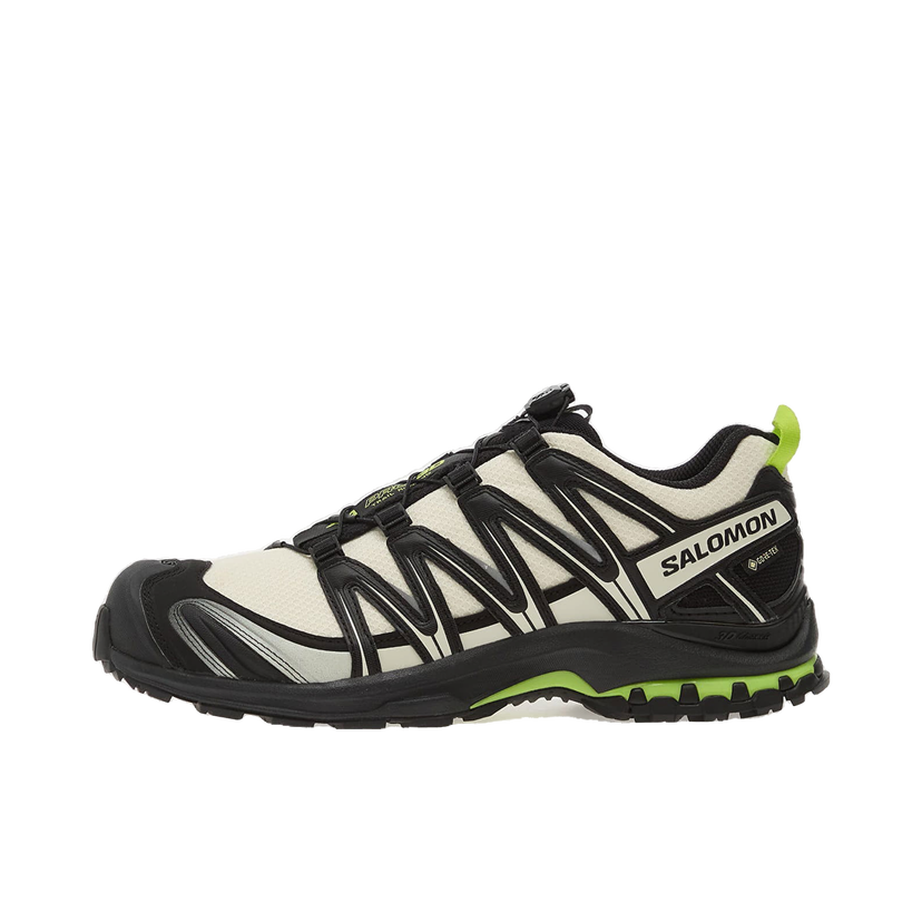 Кецове и обувки Salomon Xa Pro 3D GTX Многоцветен | L49111700