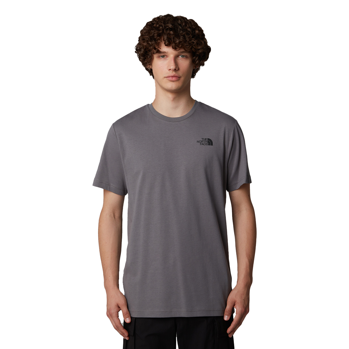 Тениска The North Face Celebration T-Shirt Сиво | NF0A87NV0UZ1, 0
