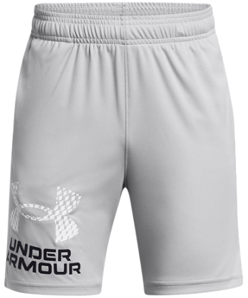 Under Armour Tech Logo Shorts 1383333-011