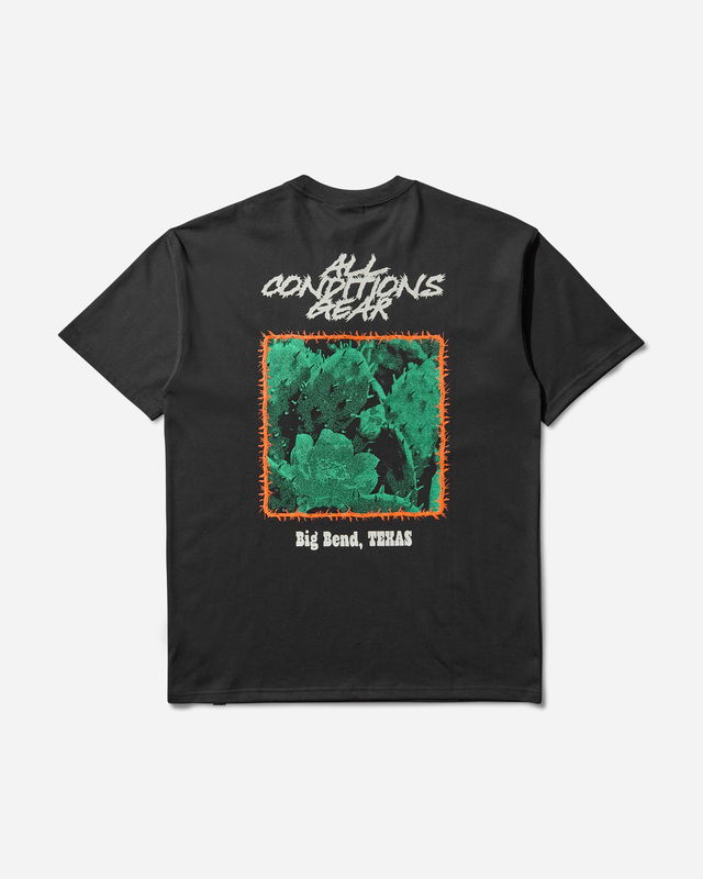 ACG Cactus Graphic Tee