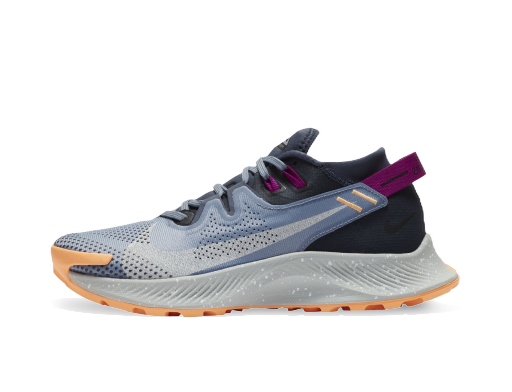 Бягане Nike Pegasus Trail 2 W Сиво | CK4309-401