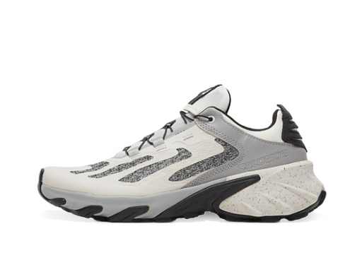 Бягане Salomon Speedverse PRG Trainer Сиво | L41672000