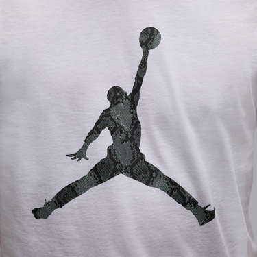 Тениска Jordan Jordan Sport Dri-FIT T-Shirt Бяло | HJ2862-102, 3