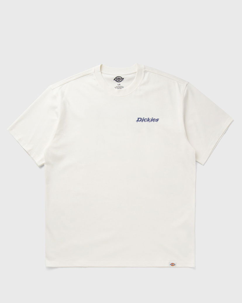 Тениска Dickies Statesville T-Shirt Бяло | DK0A87QPC481