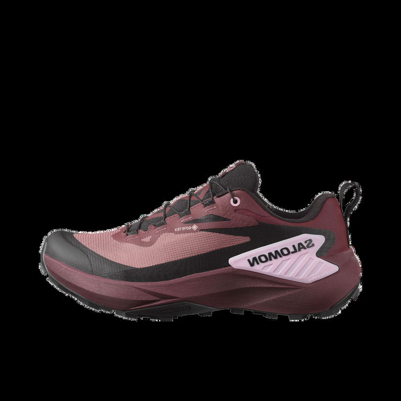 Кецове и обувки Salomon GENESIS GTX W Бургунди | l47588900