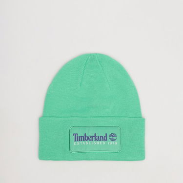 Шапка Timberland Established 1973 Зелено | TB0A2PTDH311, 0