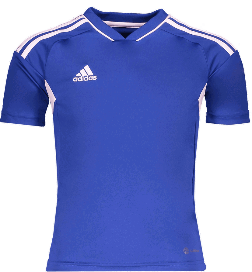 Фланелка adidas Originals AEROREADY Custom Training Jersey Синьо | hb5383blau